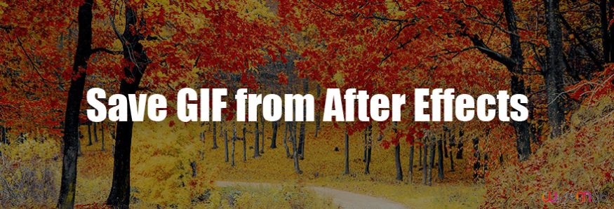 GIF Animation from After Effects