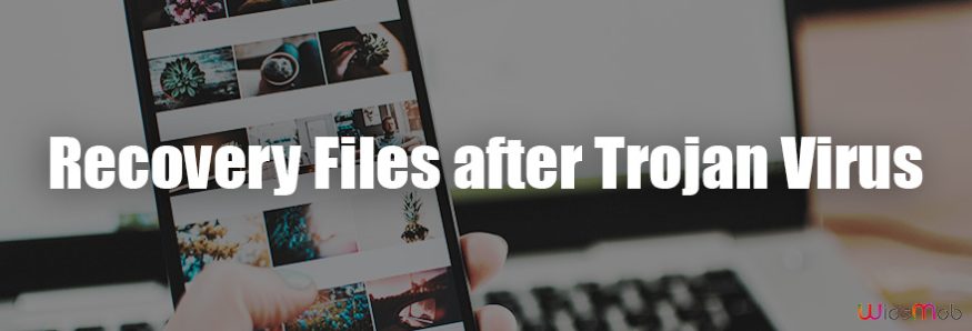 Recovery Files after Trojan Virus