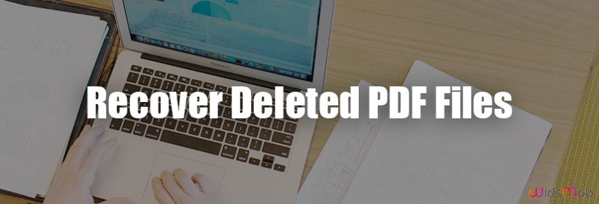 Recover PDF Files