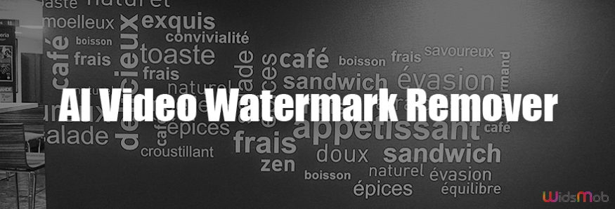 AI Video Watermark Remover
