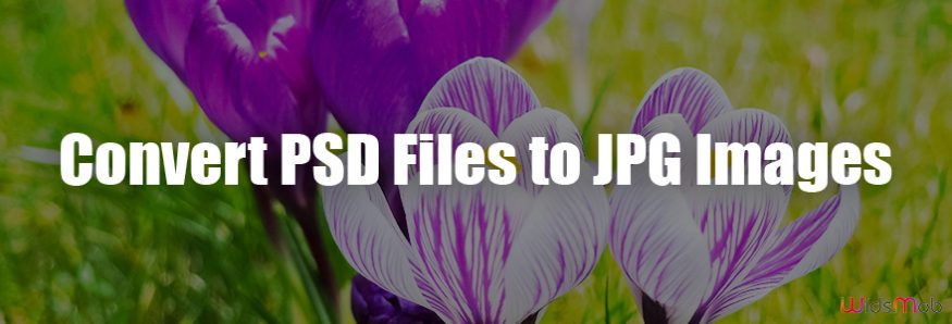Convert PSD Files to JPG Images