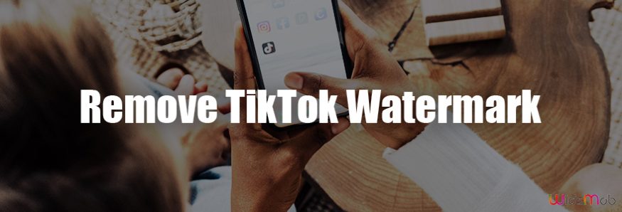 Remove TikTok Watermark