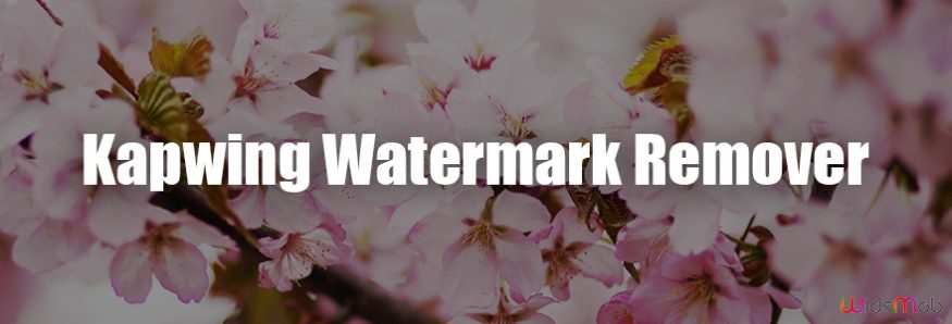 Kapwing Watermark Remover