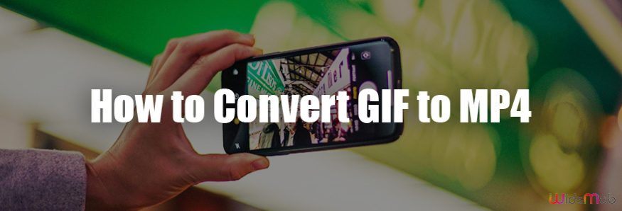 Convert GIF to MP4