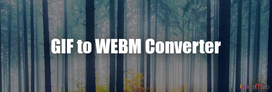 GIF to WEBM Converter
