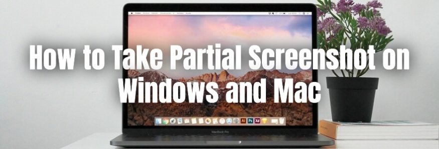 Partial Screenshot Windows Mac